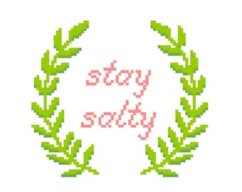 Stay Salty - PATRÓN de punto de cruz fácil para principiantes