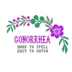 May include: A pixel art design with a floral border and the text "GONORRHEA HARD TO SPELL EASY TO CATCH".