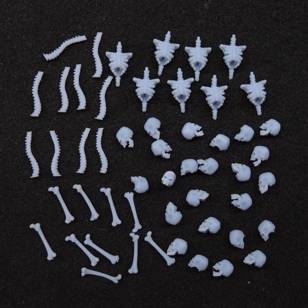 Mini Skulls / Bones