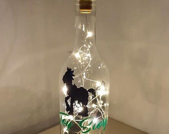 Woody, Buzz and all the characters of this Light Bottle