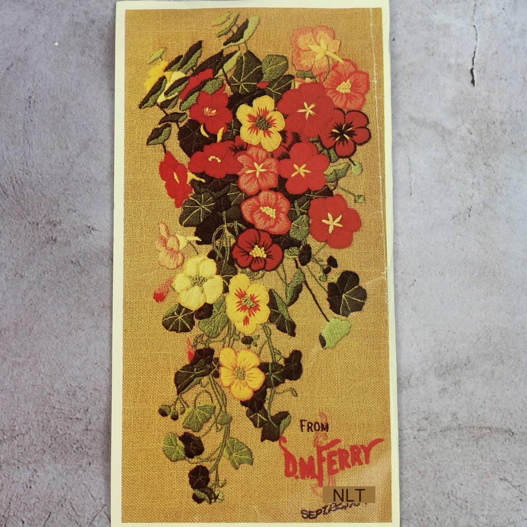 Vintage Crewel Embroidery Kit HANGING NASTURTIUMS DM Ferry Mid Etsy