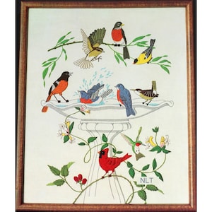 THE BIRDBATH Vintage Crewel Embroidery Kit Cardinal Hummingbird Cottage Core Granny Chic