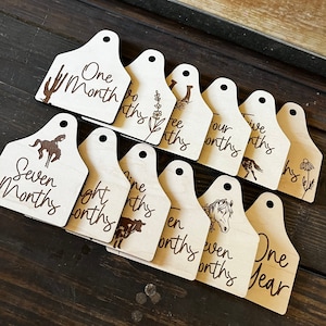 Koeienoormerk Baby Milestone houten kaarten|| Babynaamaankondiging ||Aangepast kraamcadeau ||Foto prop pasgeboren|| Maandelijkse mijlpalen