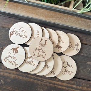 Runde Western Wild Flower Baby Meilenstein Holzkarten || Baby Namensansage || Babyparty Geschenk ||Neugeborenen Foto Prop|| Monatsbilder