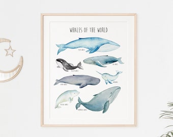 Baleine Wall Art, impression de baleine, baleine Printable Wall Art, baleine graphique Art, baleine affiche baleine Illustration éducative, téléchargement immédiat, 628-A
