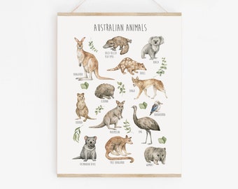 Australian Animal Art, Printable Animals of Australia Poster, Koala Kangaroo, Educational Illustration Watercolor Animals Art Download 647-A