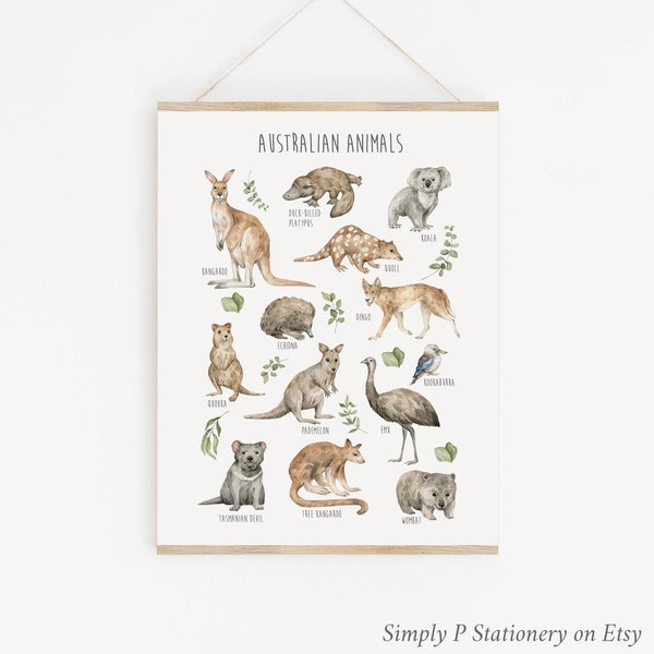 Australian Animal Art, Printable Animals of Australia Poster, Koala Kangaroo, Educational Illustration Watercolor Animals Art Download 647-A