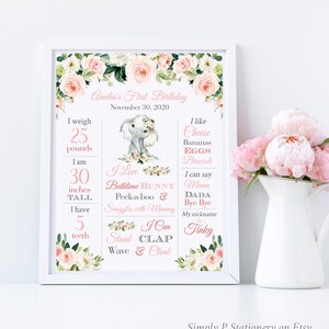 Rosa Elefant Blumen erster Geburtstag bearbeitbares Meilenstein Poster, druckbare Meilenstein Vorlage, Blush personalisiert, Sofort Download, 008-W