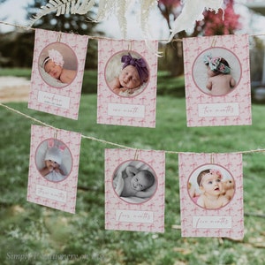 Roze strik eerste verjaardag fotobanner meisje, mijlpaalgors 1e jaar, lint maandelijkse fotoweergave 12 maanden slinger bewerkbare sjabloon 053-A