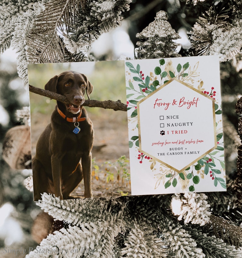 Editable Dog Christmas Card Template With Photo, Pet Holiday Card With ...