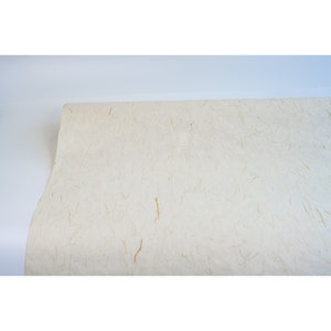 Pu&ograve; includere: Un rotolo di carta testurizzata beige naturale con fibre visibili. La carta ha un aspetto e una texture sottili e organici.