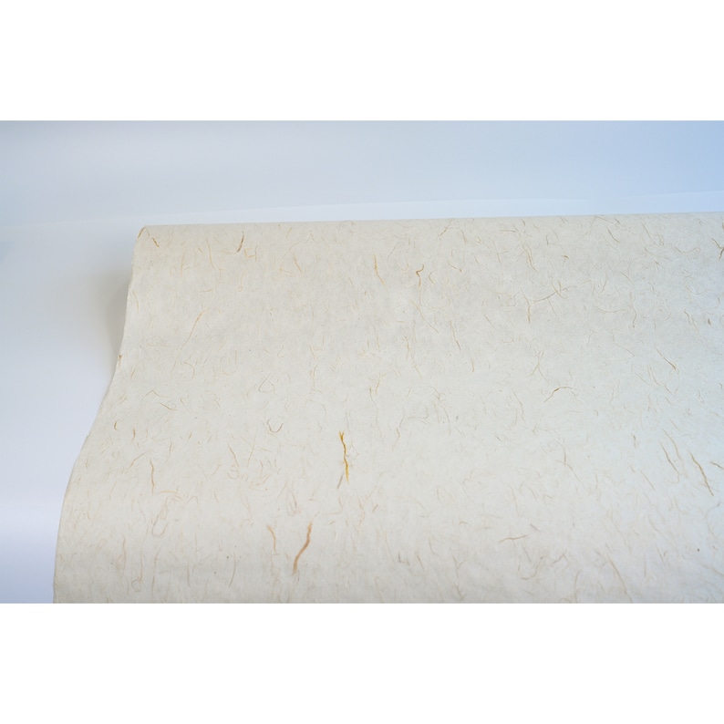 Pu&ograve; includere: Un rotolo di carta testurizzata beige naturale con fibre visibili. La carta ha un aspetto e una texture sottili e organici.