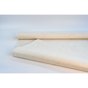 Pu&ograve; includere: Un rotolo di carta naturale di colore avorio, con una texture ruvida e fibre visibili. La carta &egrave; arrotolata e parzialmente srotolata, mostrando la texture.