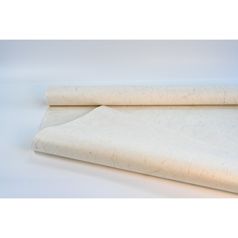 Pu&ograve; includere: Un rotolo di carta naturale di colore avorio, con una texture ruvida e fibre visibili. La carta &egrave; arrotolata e parzialmente srotolata, mostrando la texture.