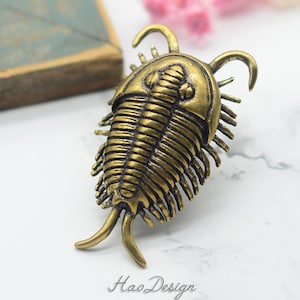 Bronze Solid Brass Trilobita knobs Brass Handles knob pulls brass drawer knobs Dresser pull door Knob Cabinet Pulls Handles Cabinet Hardware