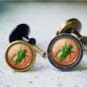 Beetle Cabochon Knob,Dresser Drawer Knob,Furniture Cabinet Knobs, Drawer handle Pull, Furniture Knobs,Dresser Knob pull,Cabinet Knob