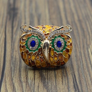 May include: A gold owl brooch with blue and green enamel eyes and rhinestones. The owl is detailed with a textured, scaly pattern.
