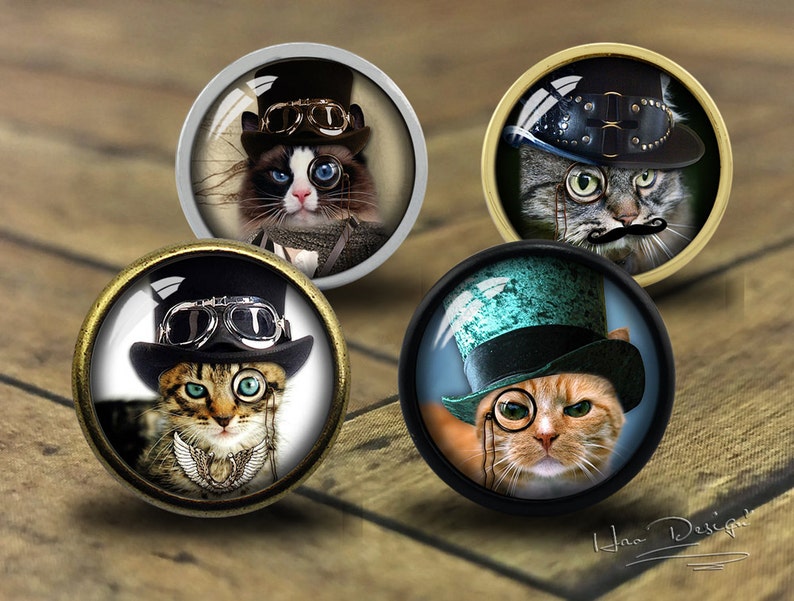 Steampunk Cat Drawer Knobshandmade Vintage Bronze Dresser Knobs