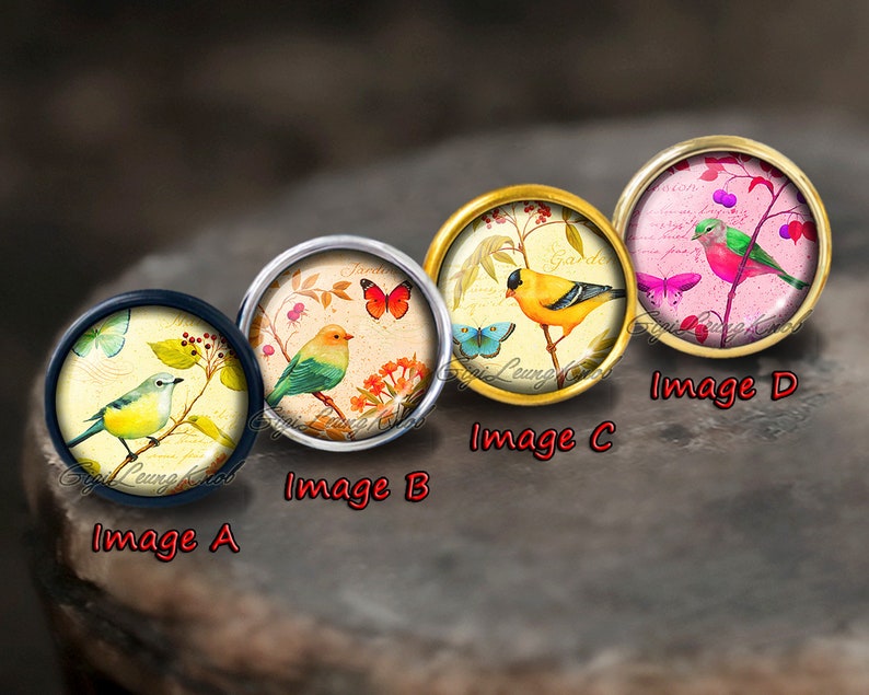 May include: Four round, colourful, glass cabochons with metal settings, each featuring a different bird design. The cabochons are labelled Image A, Image B, Image C, and Image D.