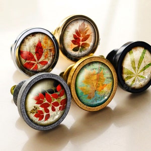 May include: Five decorative cabinet knobs featuring various leaf designs. The knobs are crafted from metal and have a vintage aesthetic. The leaves are in shades of red, green, yellow, and brown.