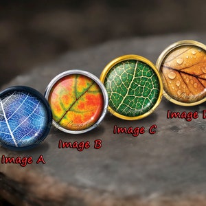 Może przedstawiać: Cztery okrągłe szklane kaboszony z różnymi wzorami liści. Kaboszony są osadzone w metalowych oprawach i ułożone w rzędzie. Wzory obejmują niebieski liść z żyłkami, czerwony i żółty liść, zielony liść i brązowy liść z kroplami wody.
