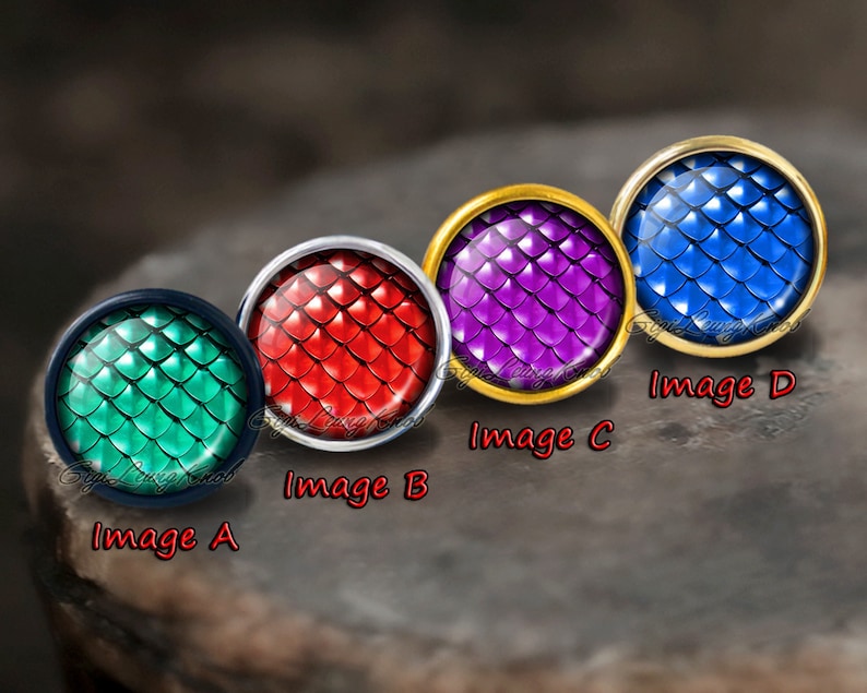 K&ouml;nnte beinhalten: Vier runde Kn&ouml;pfe mit unterschiedlichfarbigen Schuppen. Die Kn&ouml;pfe sind mit Image A, Image B, Image C und Image D beschriftet.