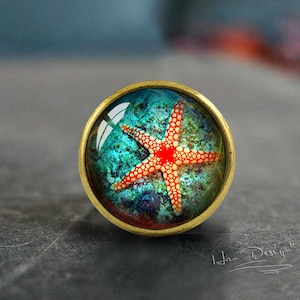 Starfish -- Drawer knobs/ Handmade Vintage Bronze Dresser knobs cabinet Dresser Knobs pull / Dresser Pull / Cabinet Knobs / Furniture Knobs