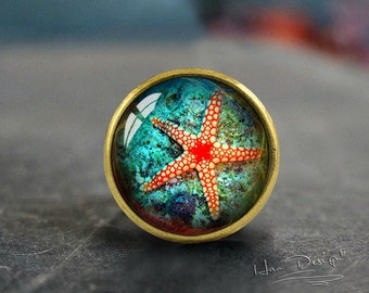 Starfish - Puxadores de gaveta/Puxadores de cômoda vintage feitos à mão em bronze Puxadores de cômoda de armário puxar/Puxar cômoda/Puxadores de armário/Puxadores de móveis