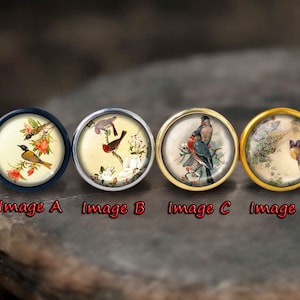 May include: Four round glass cabochons with metal settings, each featuring a different vintage illustration of birds on a floral background. The cabochons are displayed on a wooden surface. Image A features a blue bird, Image B features a red bird, Image C features a blue and red bird, and Image D features a brown bird.