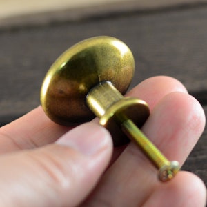May include: A round, brass cabinet knob with a screw-on back. The knob has a smooth, polished finish.