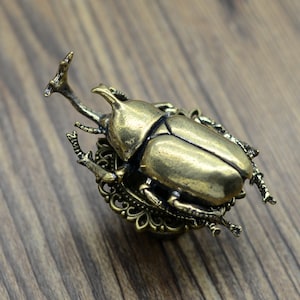 Brass beetle knobs,Insect drawer Handles,animal knobs, brass Handles, drawer pull, door knob, Knob Drawer Pulls Handle Cabinet Hardware