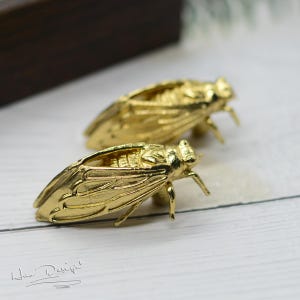 Brass Cicada Knobs,Kitchen Cabinet Knobs,Brass Drawer Knob,Drawer Pulls,Brass Cabinet Knob,Drawer Wardrobe Dresser Cupboard Pulls Handle H71