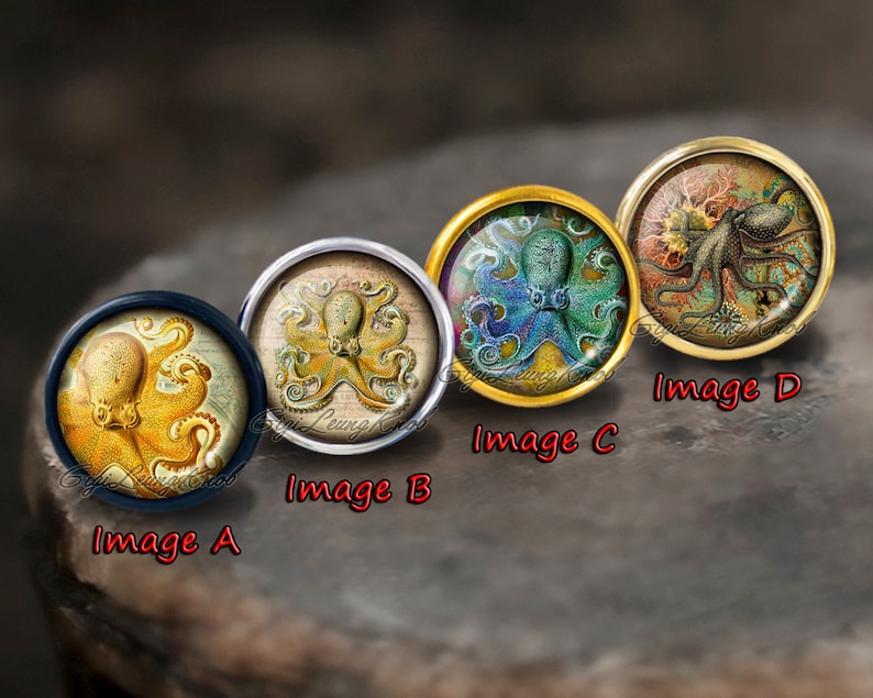 May include: Four round, decorative, glass cabochons with images of octopuses. The cabochons are set in metal frames. The octopuses are depicted in different colors and styles. The cabochons are labeled A, B, C, and D.