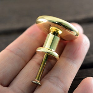 May include: A gold-toned cabinet knob with a round, slightly oval-shaped top and a threaded screw. The knob is held in a hand.