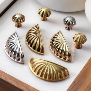 Brass Shell Pulls Dresser Wardrobe drawer Cabinet handle pulls Kitchens Cupboards Dressers Handles cup pulls Furniture Hardware