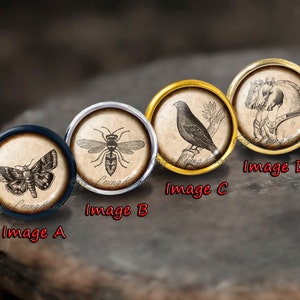 Könnte beinhalten: Vier runde, dekorative Glascabochons mit verschiedenen Bildern. Die Cabochons sind in Metallrahmen gefasst. Die Bilder zeigen eine Motte, eine Wespe, einen Vogel und ein Pferd. Die Cabochons sind mit Image A, Image B, Image C und Image D beschriftet.