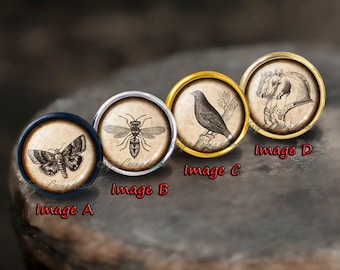 Vintage Bee Knob /drawer pull /dresser drawer pulls /kitchen cabinet knob /furniture knobs / Dresser Pull /Child handle / Furniture Hardware