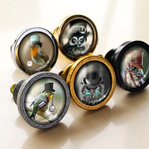Può includere: Cinque pomelli decorativi per armadi con tema steampunk. Ogni pomo presenta un animale diverso che indossa un cappello a cilindro e occhiali. Gli animali includono un gufo, un pettirosso, un falco e due tipi diversi di uccelli. I pomelli sono in metallo e hanno una forma rotonda.