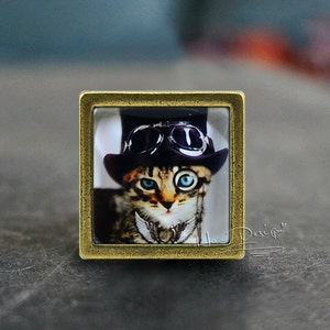 Puede incluir: Un marco de metal dorado con un inserto de vidrio que presenta un gato con un sombrero de copa y gafas. El gato tiene ojos azules y mira directamente al espectador. La imagen está sobre un fondo gris.
