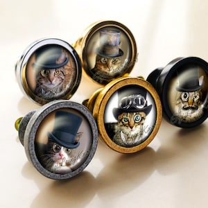 May include: A selection of cabinet knobs with cat portraits wearing top hats and goggles. The knobs come in silver, gold, and black finishes. Each knob displays a different cat with a unique expression and outfit.