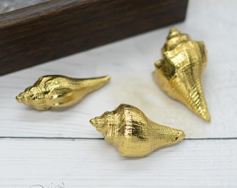 Puxadores de concha de latão, puxadores de armário de cozinha, puxadores de gaveta de latão, puxadores de gaveta, puxadores de armário de latão, puxadores de gaveta para guarda-roupa, cômoda, armário, puxadores de alça H75