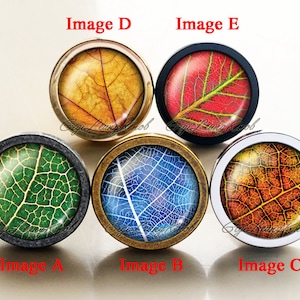 May include: Five different leaf designs on round cabinet knobs. The knobs are made of metal with a silver, gold, or black finish. The leaf designs are in shades of green, blue, red, and yellow.