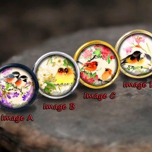 Op de afbeelding: Vier ronde glazen cabochons met verschillende vogelillustraties. Elk cabochon is in een metalen setting gezet. De cabochons zijn gelabeld als Image A, Image B, Image C en Image D.