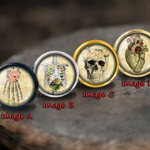 Skeleton Knob /drawer pull /dresser drawer pulls /kitchen cabinet knob /furniture knobs / Dresser Pull /Child handle / Furniture Hardware