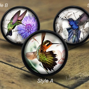 Op de afbeelding: Drie ronde decoratieve knoppen met kolibri-ontwerpen. Stijl A toont een kolibrie met oranje, groene en bruine veren. Stijl B toont een groene kolibrie bij een paarse bloem. Stijl C toont een blauwe kolibrie.