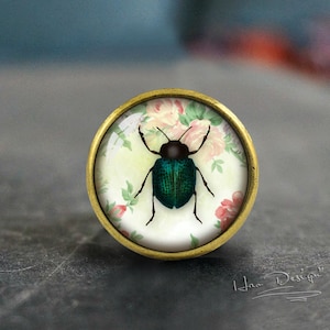 Beetle -- Drawer knobs/ Handmade Vintage Bronze Dresser knobs cabinet Dresser Knobs pull / Dresser Pull / Cabinet Knobs / Furniture Knobs
