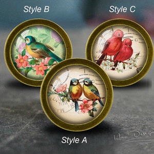 Può includere: Tre cabochon rotondi in vetro con bordo dorato con diverse illustrazioni di uccelli. Il primo cabochon presenta due uccelli blu appollaiati su un ramo con fiori rosa. Il secondo cabochon presenta un uccello verde e blu appollaiato su un ramo con fiori rosa. Il terzo cabochon presenta due uccelli rossi appollaiati su un ramo con fiori bianchi.