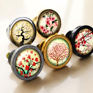 Può includere: Una collezione di cinque pomelli decorativi per mobili con disegni floreali. I pomelli presentano immagini di fiori di ciliegio nei toni del rosso e del rosa, su uno sfondo crema o verde. I pomelli hanno basi metalliche in argento, oro e nero.