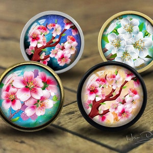 May include: Four decorative cabinet knobs with a floral design. Each knob features a different color background and a branch of pink or white blossoms.
