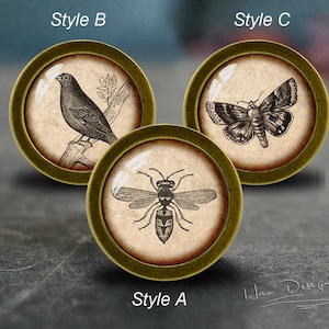 Bi, fåglar, fjäril -- Lådknoppar / Handgjorda vintage brons byråknoppar skåp byråknoppar handtag / Byråhandtag / Skåpknoppar